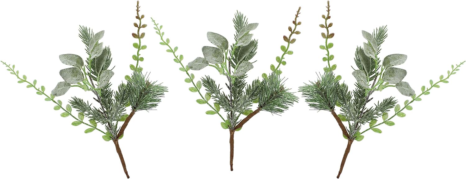 pine leaves stems