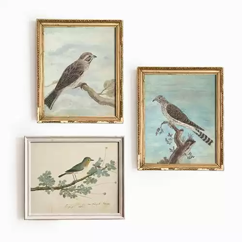 Vintage Art Wall Decor, Vintage Bird Prints, Birds Art French Farmhouse Decor, Oil Painting Artwork, Country Farmhouse Art Prints, French Country Farmhouse Decor, Vintage Wall Decor Set 3(UNFRAMED)